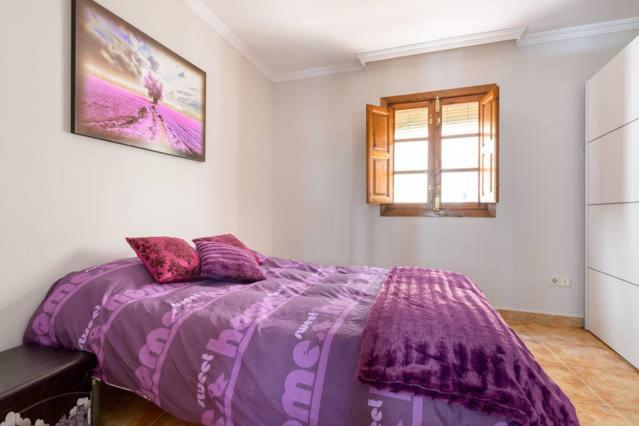 Апартаменти Apartamento En Pleno Centro, Wifi, Ideal Гранада Екстер'єр фото